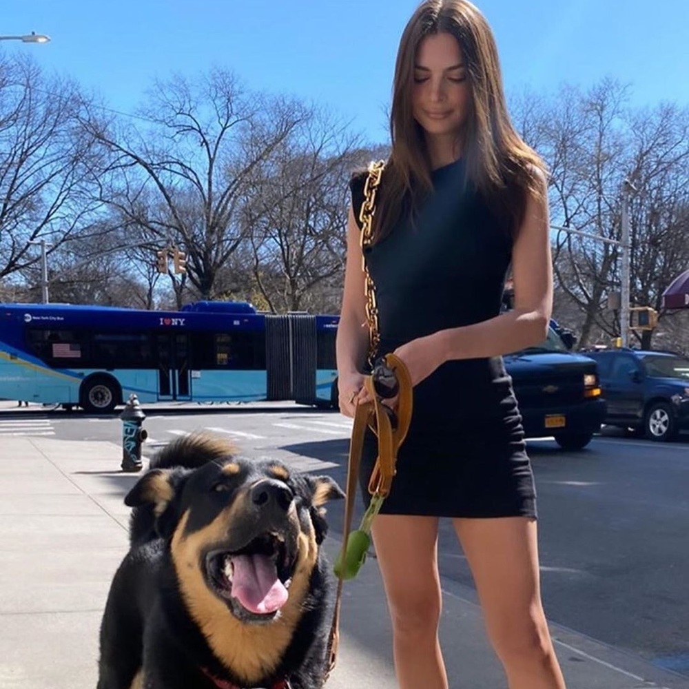 Reformation Rami Black Padded Shoulder Bodycon Dress M